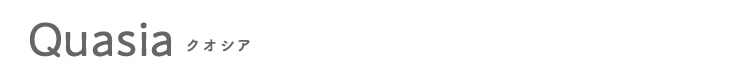 Quasia クオシア
