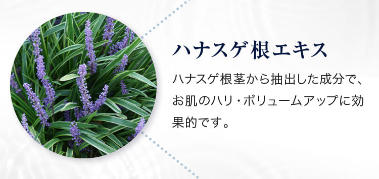 ハナスゲ根エキス