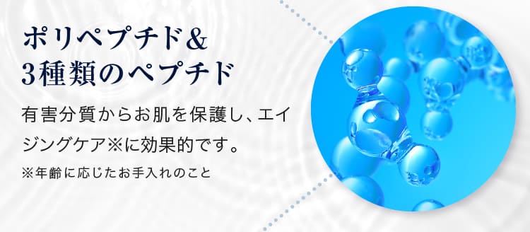 ポリペプチド＆3種類のペプチド