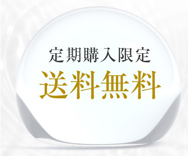 定期購入限定送料無料